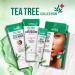 Kiss New York Tea Tree Deep Cleansing Clay Mask 4.23 oz - Korean Skin Care for Pores, Oil Control, and Impurity Removal - Buy Online on GoSupps.com