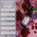 Baja Basics Pomegranate Seed Oil - Pure Cold Pressed Unrefined - Organic Body Oil - Antioxidant Serum for Face Hair Skin and Nails - Natural Moisturizer & Scar Treatment - 1 oz - Buy Online on GoSupps.com