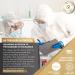Mushroom Gummies 10 Supplement Blend 2500mg | Turkey Tail Chaga Reishi Cordyceps Lions Mane Extracts | Nootropic Brain Booster for Focus Memory Clarity Energy | 60ct - Buy Online on GoSupps.com