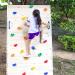 Kids Rock Climbing Holds Set - 20 Holds with 2 Safety Handles | Indoor Outdoor Rock Wall Kit with Mounting Hardware - Buy Online on GoSupps.com