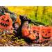 KKEATOY 12Pack Lawn and Leaf Pumpkin Trash Bags - Halloween Decor, Fall Yard Waste Bags - 30 Tall, 4 Patterns - Bonus Fright Tapes & Twist Ties - Buy Online on GoSupps.com