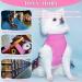 TONY HOBY Pink Dog Party Princess Dress with Lace for Small Medium Dogs - Soft, Breathable Outfit - Buy Online on GoSupps.com