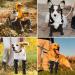 Pinenuts Dog Paw Protector Waterproof Anti-Slip Dog Shoes Protective Sock + 2 Rolls Pet Vet Wrap + 4 pcs Skid-proof Set (10cm/40cm) - Buy Online on GoSupps.com