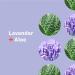 Everyone for Every Body Hand Sanitizer Spray - Lavender and Aloe - 2 oz (6 Pack) - 12 fl oz - Buy Online on GoSupps.com