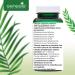 Buy Bacterial Culture Bifidus Capsules - GENESIS Bifidobacterium Complex BB - 90 Capsules | 250mg | International Shipping Available - Buy Online on GoSupps.com
