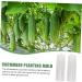 VANZACK Garden Fruit Mould 2pcs Vegetable Shaping Vegetables Flower Shaped Cucumber Molds Fruit Molds Modeling - Buy Online on GoSupps.com