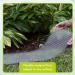 Homarden Cat Deterrent Outdoor Mat - Spike Training Devices for Cats and Dogs - Indoor/Outdoor Plastic Mats - 16 x 13 Inches (6 Pack) - Buy Online on GoSupps.com