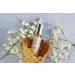 Herb & Root A La Mode Perfume Oil | Notes of Pistachio Vanilla Sea Salt Caramel | Gourmand Fragrance| Vegan Phthalate Free Cruelty Free Long-Lasting - Buy Online on GoSupps.com