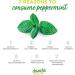 Desincha Ginger & Peppermint Tea | Energy Boost, Mental Focus & Digestive Support | Reduce Bloating | 60 Day Supply - Buy Online on GoSupps.com