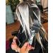 Framar Power Painter Hair Dye Brush Set - 2 Pack | Hair Coloring & Blending Tools for Balayage & Dye Application - Buy Online on GoSupps.com