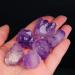 Amethyst Crystals Natural Specimen Amethyst Quartz Cluster Crystal Specimen Minerals JIZTGEDM (Color : C Size : 6 Pieces) 6 pieces C - Buy Online on GoSupps.com