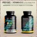 Buy Vitamin B12 Sucking Tablets (480x 500 g) - Vegan Sugar-Free Delicious Orange Flavor High Dose Methylcobalamin - 2x240 Tablets for Optimal Energy & Health - Buy Online on GoSupps.com