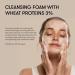 Sane Foaming Cleanser with 3% Wheat Proteins - Gentle Face Cleanser for Enhanced Skin Elasticity | 5.07 Fl Oz | International Shipping Available - Buy Online on GoSupps.com
