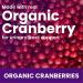 Fruily Organic Women's Multivitamin Gummies with Cranberry Extract - 60 Mixed Fruit Gummies - Buy Online on GoSupps.com