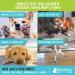 Raw Paws Pet Natural Dog & Cat Paw Balm 4 oz - Paw Soother, Butter, Cream & Wax for Moisturized Paws - Buy Online on GoSupps.com
