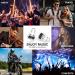 High Fidelity Concert Ear Plugs - Reusable Musicians Earplugs for Festivals DJs & Nightclubs - 24dB Noise Reduction (2 Pairs) - Black - Buy Online on GoSupps.com