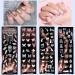 NICENEEDED 12Pcs Nail Art Stamping Plates & 1 Nail Stamper & 1 Nail Scraper & 20 Slots Nail Stamping Plate Holder Case Animal Flowers Cat Geometric Patterns Nail Printing Plate Templates - Buy Online on GoSupps.com