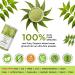 Organic Veda Neem Powder - 100% USDA Certified for Skin & Hair | Immune Support | 16 oz Pack - Buy Online on GoSupps.com