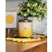 Uplift Spirits Candle Gift Set Green Gold Leaf & Wood Sage Yellow Gold Moon & Grapefruit Perfect International Shipping - Buy Online on GoSupps.com