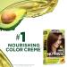 Garnier Nutrisse 51 Medium Ash Brown Hair Color 2 Pack - Permanent Dye - Buy Online on GoSupps.com