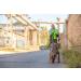 Julius K9 Mantrailing & Outdoor Dog Harness - Size L-XL - UV Orange with Neon Edge for Large Dogs - International Shipping Available - Buy Online on GoSupps.com