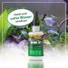 Microbe-Lift Plant Caper 50g - Fast Plant Glue for Aquascaping in Freshwater Aquariums | Ideal for Moss Roots & Plant Attachment - Buy Online on GoSupps.com