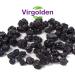 Dried Bilberries 100g by Virgolden - Buy Online on GoSupps.com