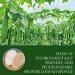Natural Luffa Body Cloths (6 Pack) - Gentle Skin Peeling & Cleansing Sponge Pads for Sensitive Skin - Eco-Friendly eCommerce Shipping Worldwide - Buy Online on GoSupps.com