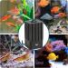AQQA Quiet Aquarium Sponge Filter - Optimal Biological & Mechanical Filtration for 30-250L Aquariums - Buy Online on GoSupps.com