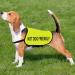 Funny Dog Jacket - High Visibility Safety Vest Size L | Not Dog Friendly EU - Buy Online on GoSupps.com