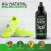 Aromasong Natural Shoe Deodorizer and Foot Spray - Fresh - 4 Fl Oz. - Buy Online on GoSupps.com