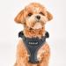 Puppia RiteFit Harness Medium Red - Comfortable and Adjustable - Buy Online on GoSupps.com
