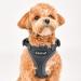Puppia Ritefit Dog Harness for Small to Medium Dogs - Adjustable Soft & Versatile - Camouflage Design for Comfort & Style - Buy Online on GoSupps.com