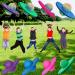 FURTHERNEXT Pogo Ball for Kids & Adults | Up to 160 lb | Bounce Board with Air Pump | Sturdy Deck | Exercise Toy for Children Over 6 | Good Gift (Multi-Green) - Buy Online on GoSupps.com