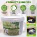 PLAQUE OUT 450G: Organic Tartar & Plaque Remover for Dogs & Cats - Bad Breath & Gum Care - Buy Online on GoSupps.com