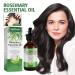 Essential Rosemary Oil for Hair Growth & Scalp Massage - 60ml Natural Vegan Aromatherapy Oil for Skin Care - Buy Online on GoSupps.com