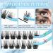 168 Pcs Tulip & Violet C-Mix Lash Clusters | DIY Eyelash Extensions Kit - Buy Online on GoSupps.com