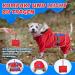 Buy Eyein Waterproof Dog Rain Coat - Large Dog Rain Jackets with Hood Reflective Stripes & Linen Holes Easy to Wash & Stow - XXXL - Buy Online on GoSupps.com