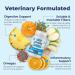 Glandex Dog & Cat Anal Gland Fiber Supplement Powder with Pumpkin & Digestive Enzymes Vet Recommended Healthy Bowels & Digestion - Boot The Scoot (Pork Liver 70g) Pork Liver 70g - Buy Online on GoSupps.com