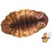 Chubby Silkworms Dried Silkworm Pupae for Wild Birds Koi Fish Reptiles and Other Animals 500g - Buy Online on GoSupps.com