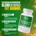 DR VITAMIN SOLUTIONS Thermogenic Fat Burner - 120 Capsules - Buy Online on GoSupps.com