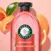 Herbal Essences Pure Plants Grapefruit Volumizing Shampoo with Certified Camellia Oil and Aloe Vera For All Hair Types Especially Fine Hair 400 mL - Buy Online on GoSupps.com