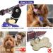 Buy 2-Piece Dog Brand Bag with Push Button & Military Dog ID Silencer Ring - Blue Paw Print & Purple Blue - Ideal for Dogs & Cats - Secure Identification & Address Tags - Buy Online on GoSupps.com