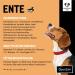 Chewies Duck Training Bats - Grain-Free Sugar-Free Monoprotein Dog Treats - Soft & Reusable Packaging - Made in Germany (6 x 175g) - Buy Online on GoSupps.com