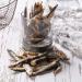 Hollings Sprats for Dogs 100g Pack of 1 100 g (Pack of 1) - Buy Online on GoSupps.com