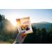 Organic Unsulfured Turkish Apricots - Healthy Dried Fruit Snacks (5 oz) - Non-GMO & Gluten-Free - Buy Online on GoSupps.com