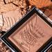 WET N WILD Color Icon Bronzer - What Shady Beaches | Buy Internationally Flawless Glow - Buy Online on GoSupps.com