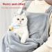 Fulenyi Adjustable Pet Carrier Bag for Cats & Small Dogs - Comfortable Convenient Perfect for Travel - Buy Online on GoSupps.com