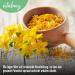 Vitabay St. John's Wort Extract 5000 mg - 120 Vegan Capsules | High Dose Hypericin | Made in Germany | Natural Mood Support - Buy Online on GoSupps.com