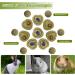 Episkey Bunny Chew Toys Small Animal Treats Natural Timothy Grass Chew Toys Grass Cake&Grass Ball Pet Snacks Molar Teeth Grinding Toy Chewing for Chinchillas Pig Dwarf Rabbit Gerbils H01 - Buy Online on GoSupps.com